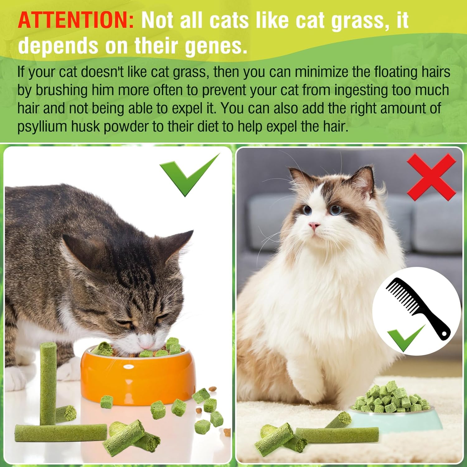 Two cats with text explaining cat grass preferences and grooming tips at Pet Servo