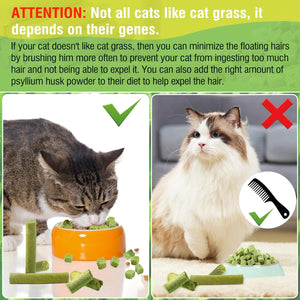 Two cats with text explaining cat grass preferences and grooming tips at Pet Servo