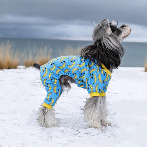 Dog wearing a blue pajama with banana pattern on a snowy beach at Pet Servo