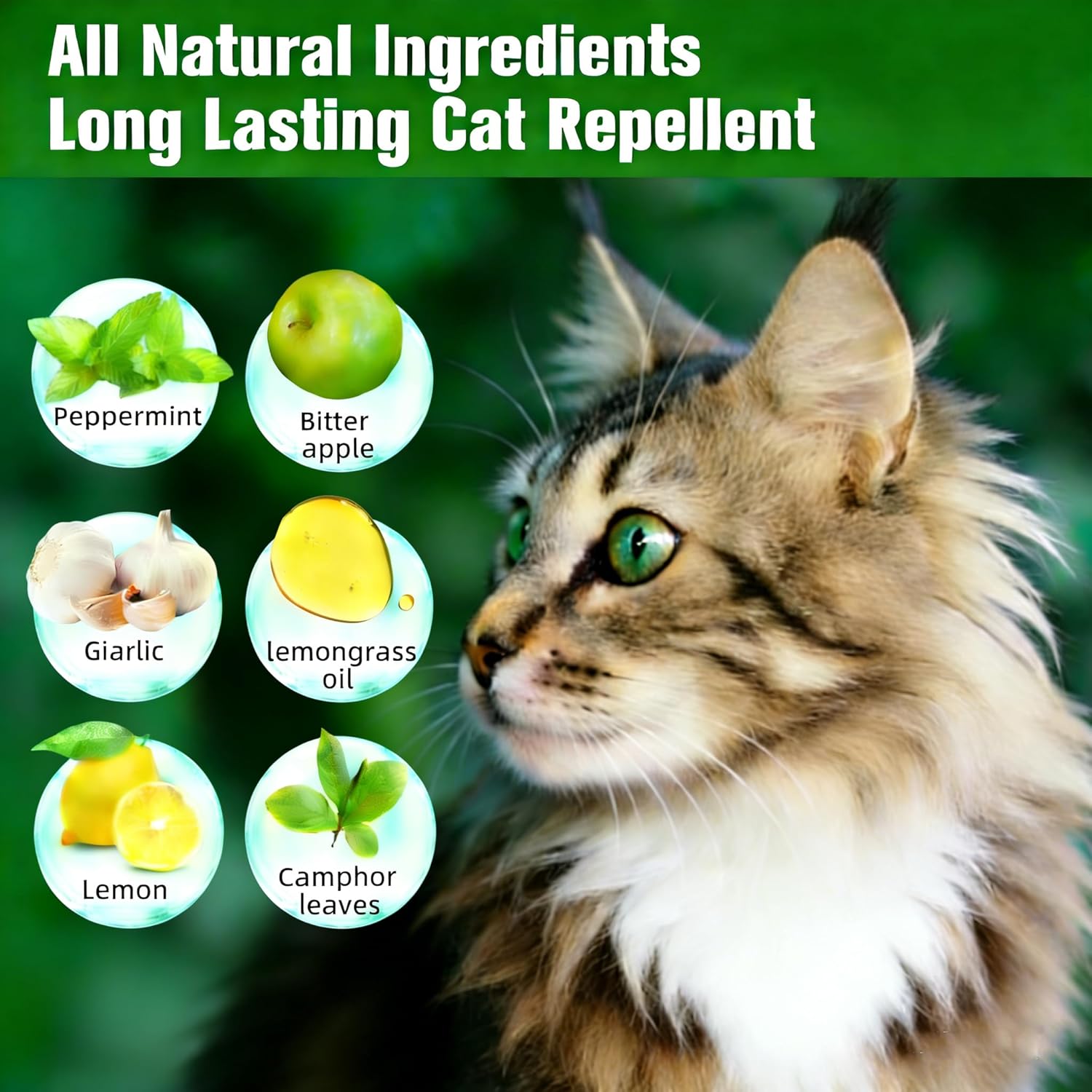 Cat with natural ingredients for a long-lasting cat repellent on a green background at Pet Servo