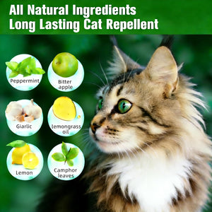 Cat with natural ingredients for a long-lasting cat repellent on a green background at Pet Servo