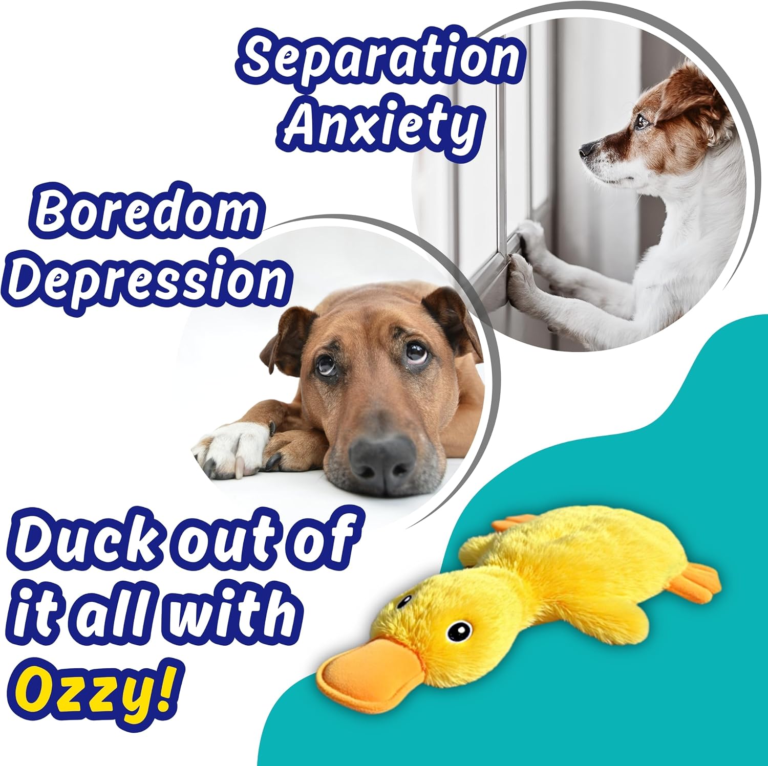 A yellow plush duck toy with an orange beak and feet, shown on a teal and white graphic background with marketing text and two circular inset photos of a dog looking out a window. The text reads 'Separation Anxiety,' 'Boredom,' 'Depression,' and 'Duck out of it all with Ozzy!' at Pet Servo