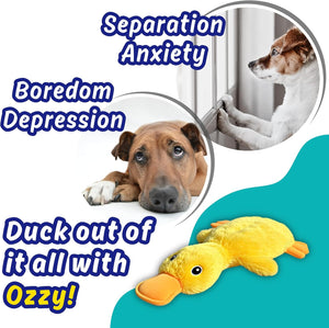 A yellow plush duck toy with an orange beak and feet, shown on a teal and white graphic background with marketing text and two circular inset photos of a dog looking out a window. The text reads 'Separation Anxiety,' 'Boredom,' 'Depression,' and 'Duck out of it all with Ozzy!' at Pet Servo