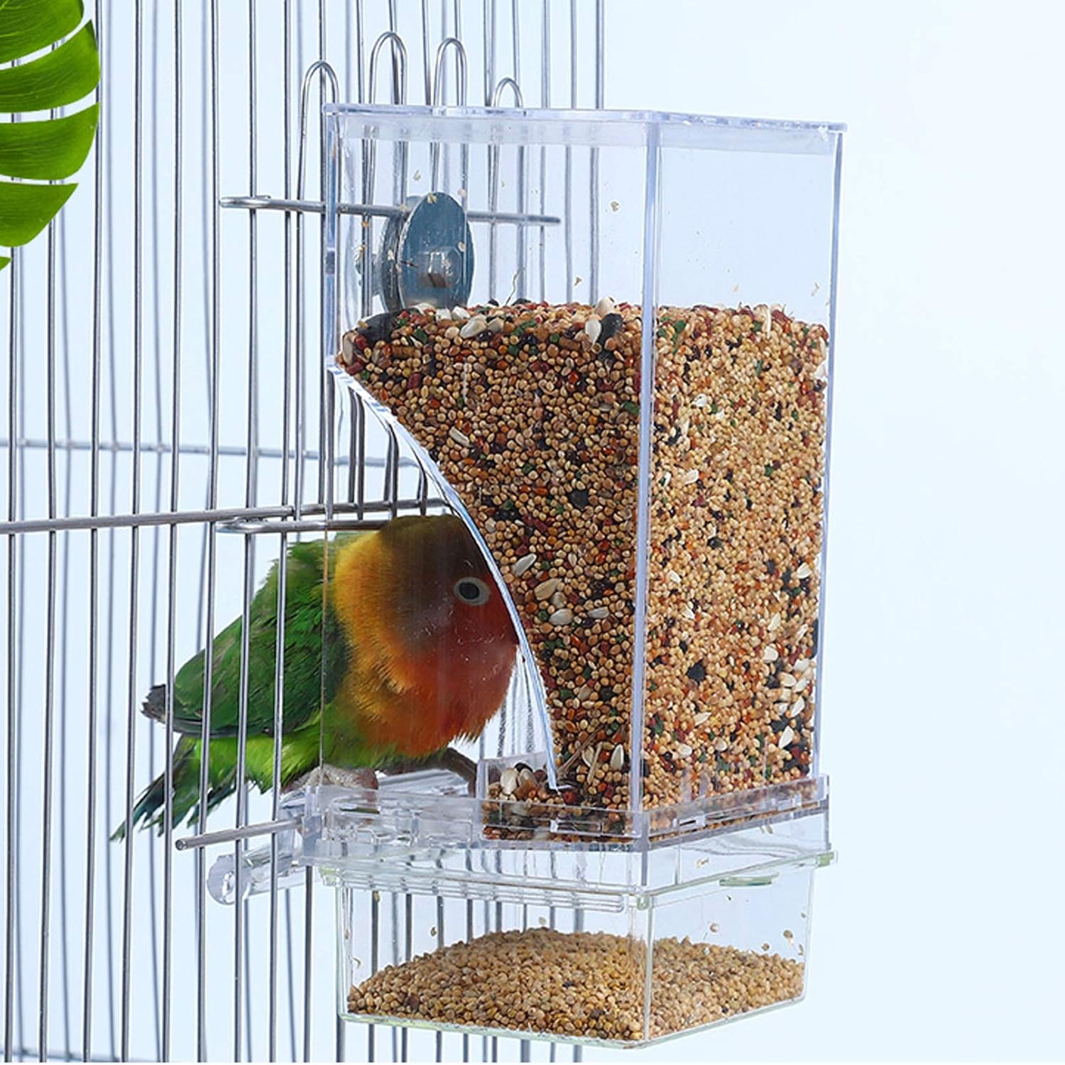 Bird perched on a transparent bird feeder with seeds inside, against a light blue background at Pet Servo