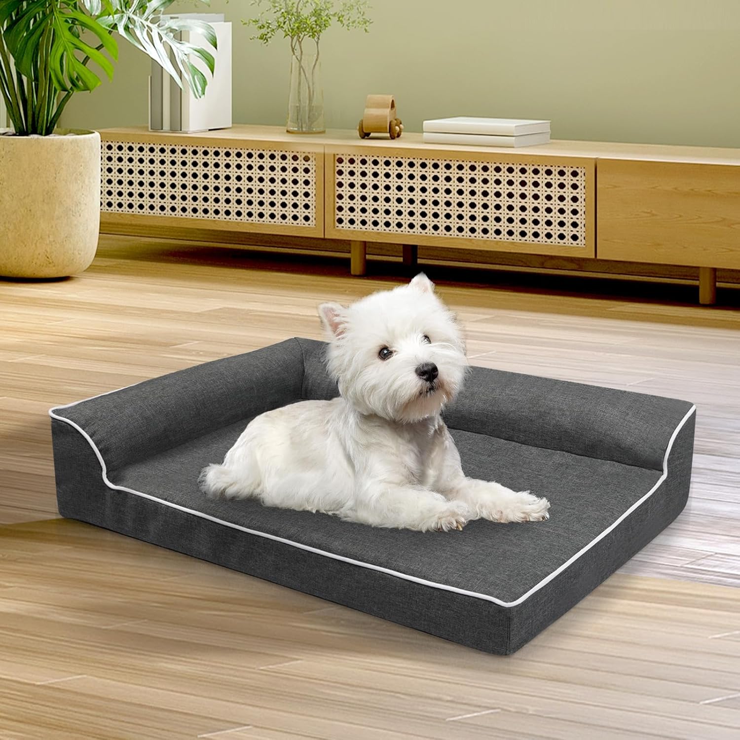 White dog lying on a gray pet bed in a room with wooden flooring and furniture at Pet Servo