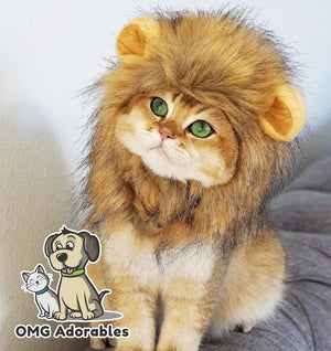 Cat wearing a lion costume with 'OMG Adorables' logo in the corner at Pet Servo