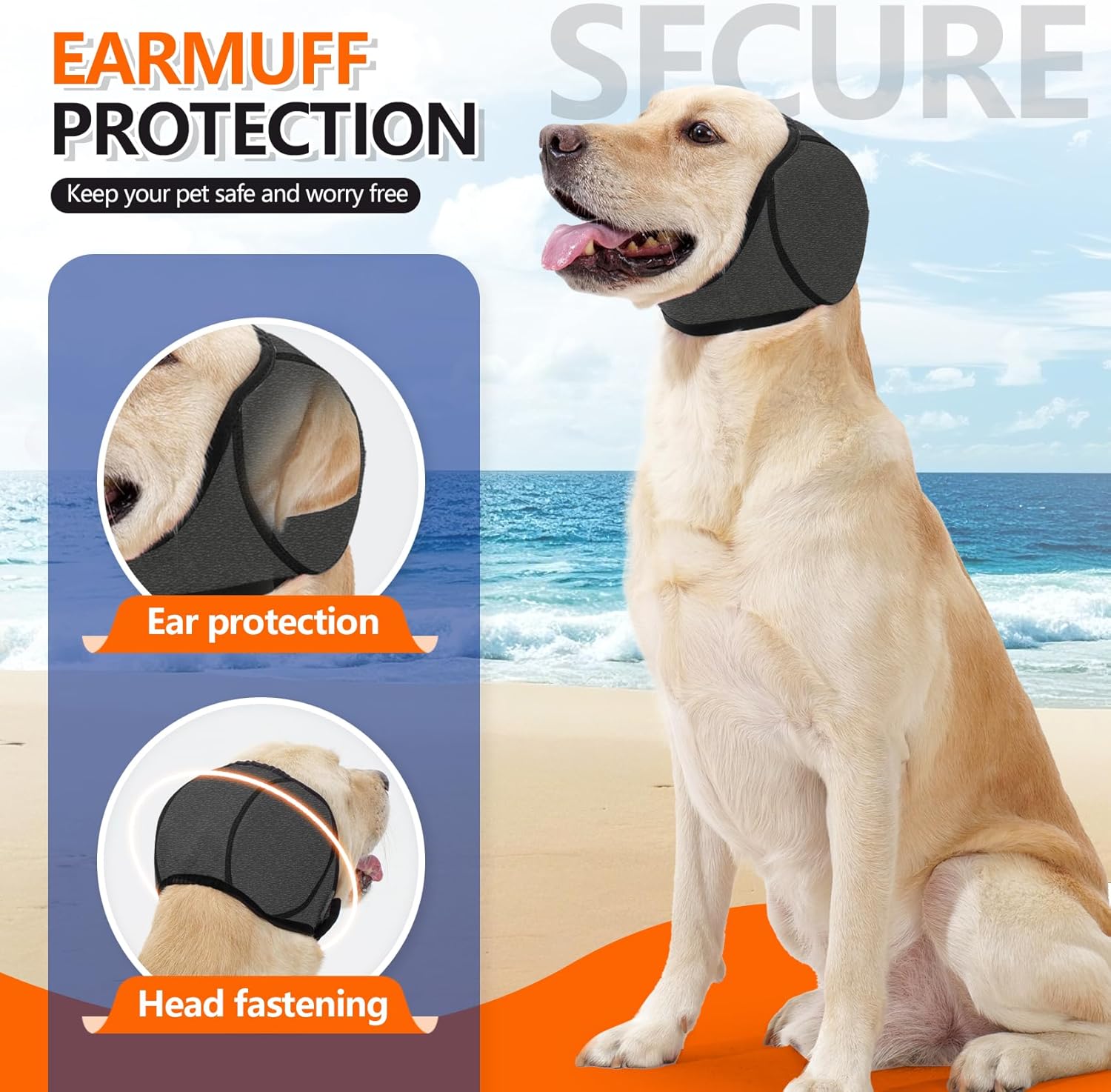 Dog wearing a protective ear cover with beach background at Pet Servo