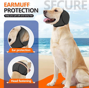 Dog wearing a protective ear cover with beach background at Pet Servo