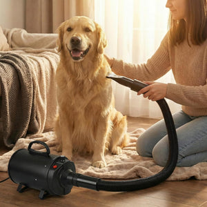 Person using a hair dryer on a golden retriever in a cozy living room at Pet Servo
