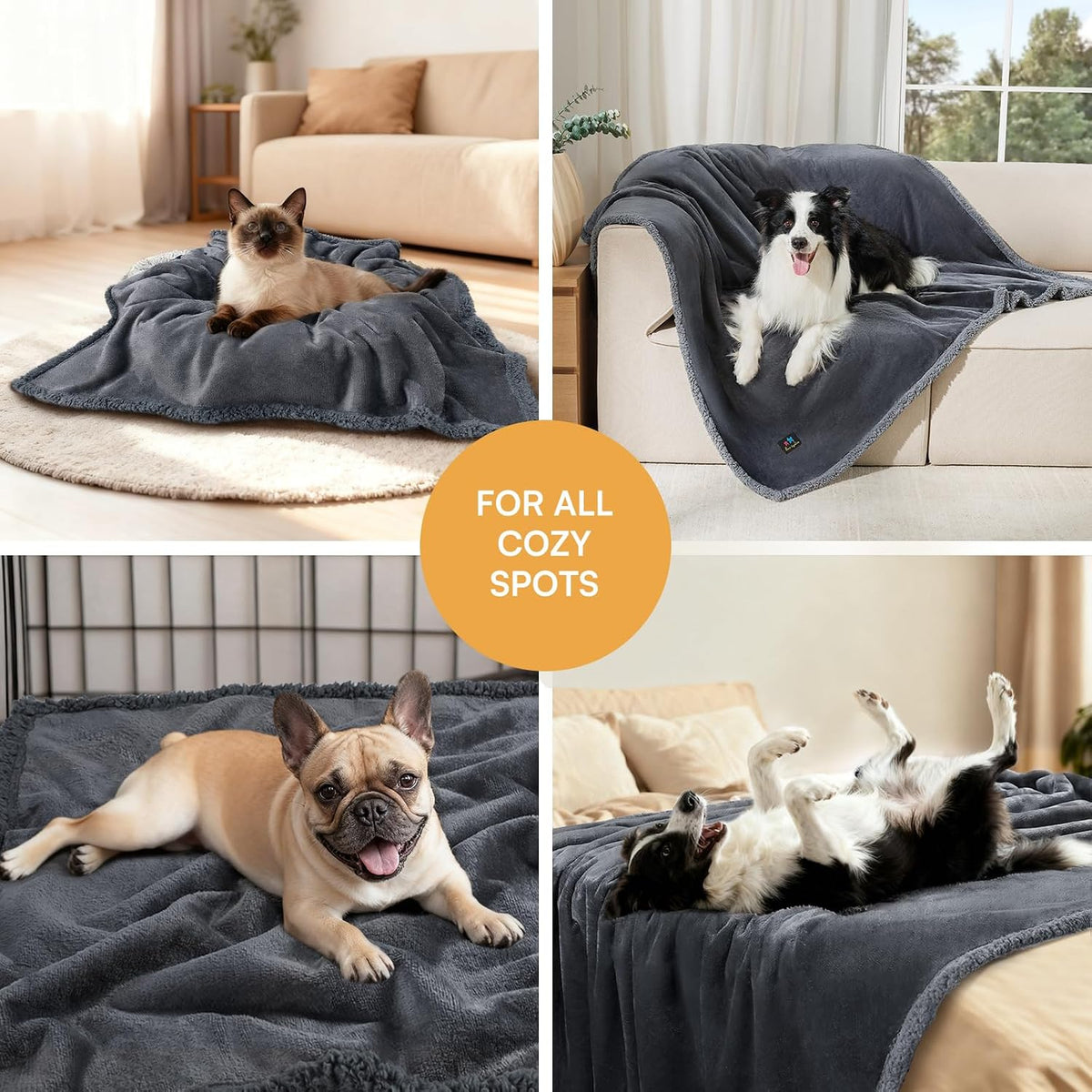 Collage of dogs and a cat lying on a dark gray pet blanket in various cozy indoor settings.