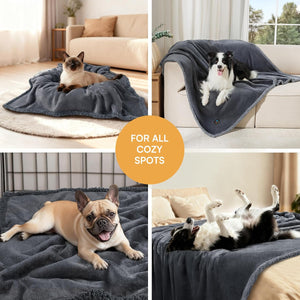 Collage of dogs and a cat lying on a dark gray pet blanket in various cozy indoor settings.