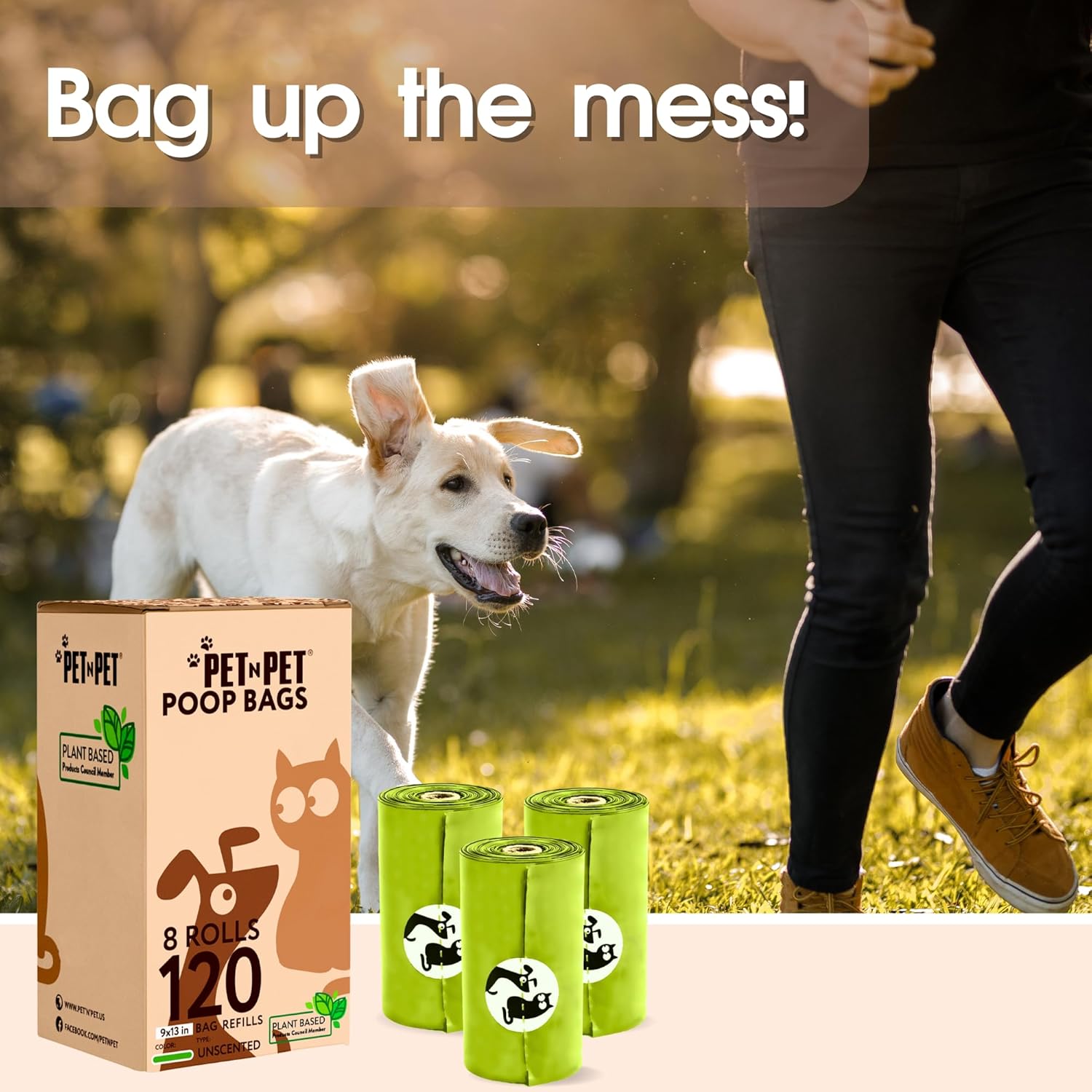 Dog with a box of pet poop bags and rolls in a park setting