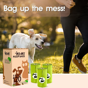 Dog with a box of pet poop bags and rolls in a park setting