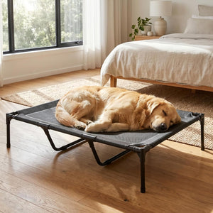 Dog lying on a elevated pet bed in a bedroom at Pet Servo