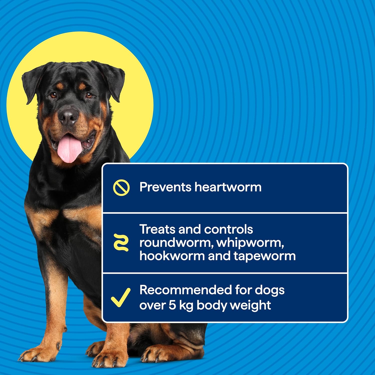 Dog standing next to a blue informational panel on a blue background at Pet Servo