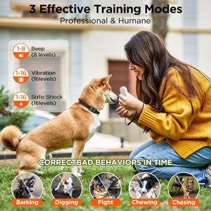 Woman training a dog with a device, showing different training modes and behaviors at Pet Servo