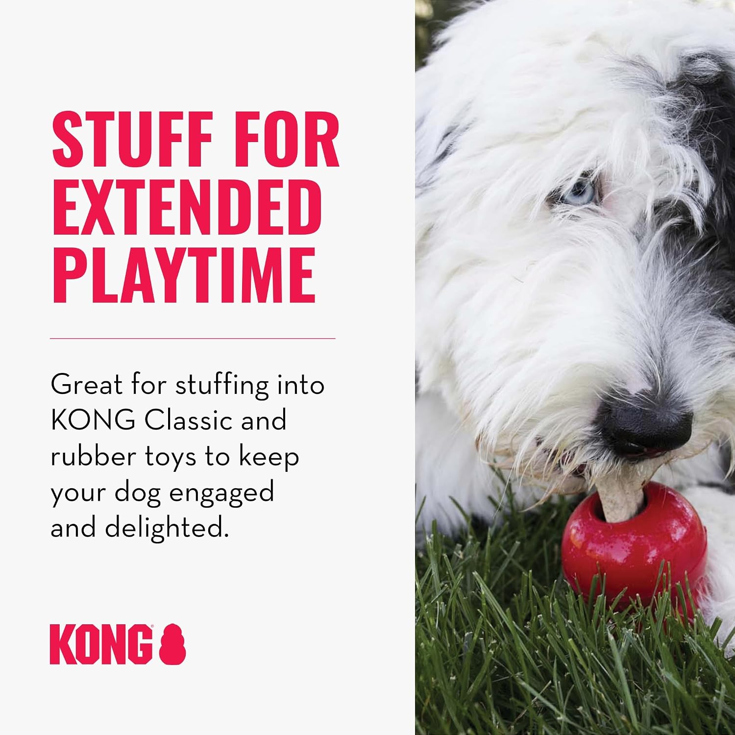 Promotional graphic for KONG dog toys with text on the left and a close-up photo of a fluffy white and black dog chewing a red KONG toy in grass on the right at Pet Servo