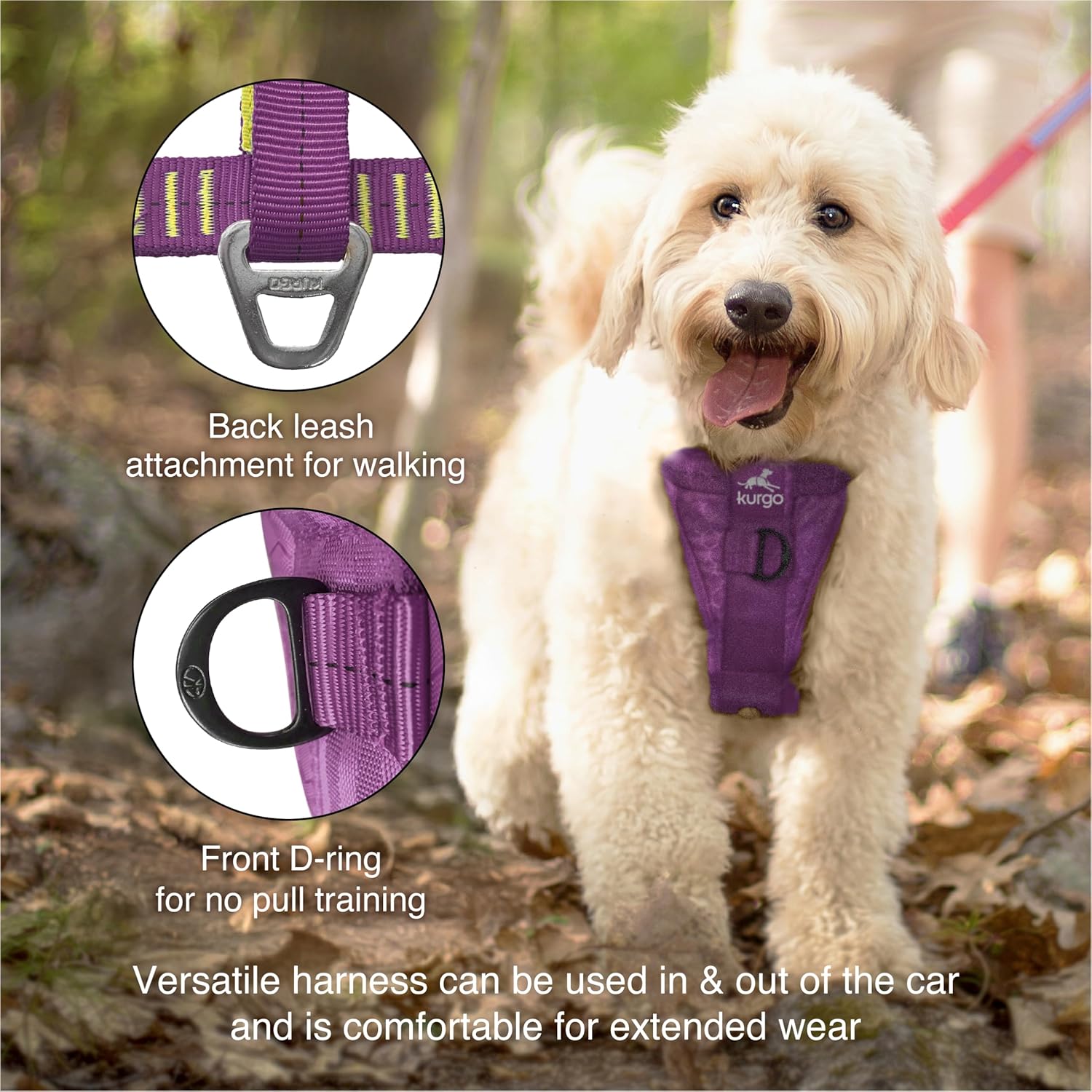 Dog wearing a purple harness with leashes in a forest setting at Pet Servo