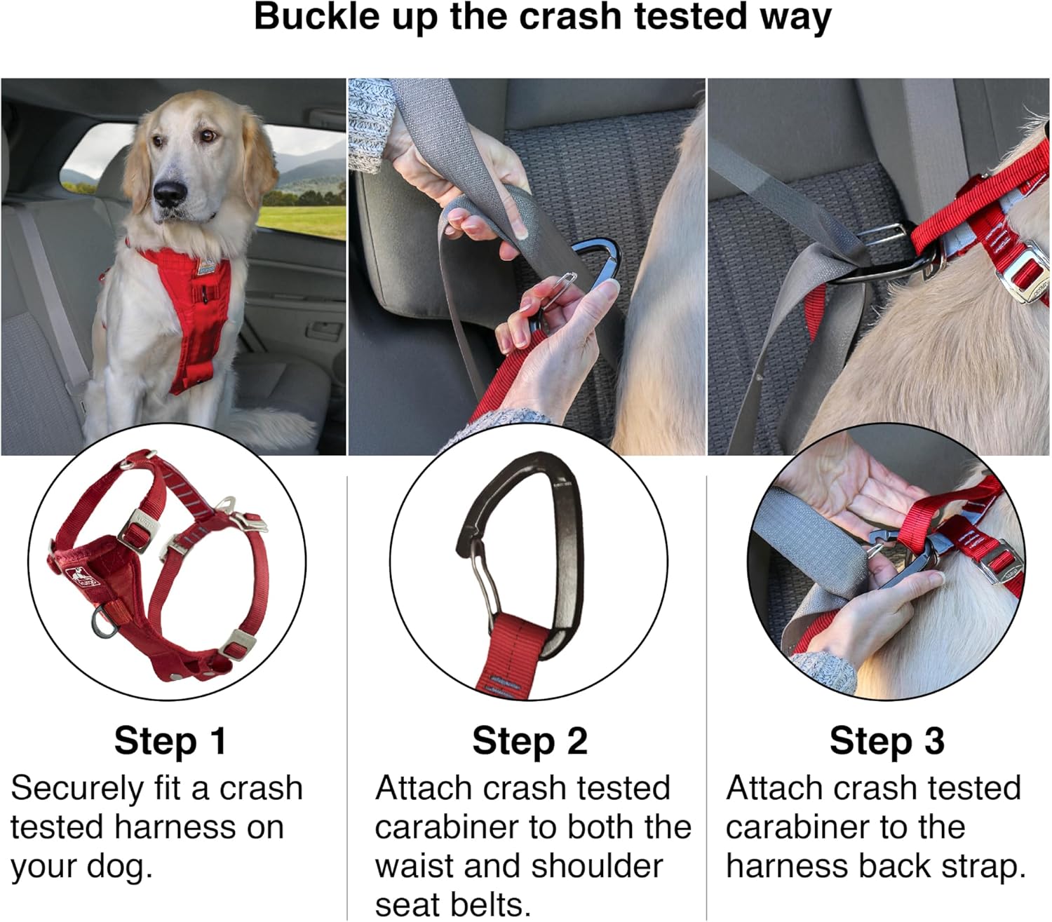 Step-by-step guide on how to use a crash-tested dog harness and carabiner in a vehicle at Pet Servo