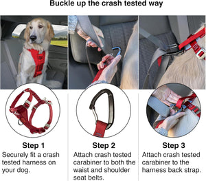 Step-by-step guide on how to use a crash-tested dog harness and carabiner in a vehicle at Pet Servo