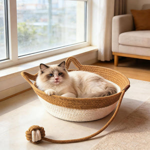 Cat lying in a woven pet bed with a rope toy on a light-colored floor at Pet Servo
