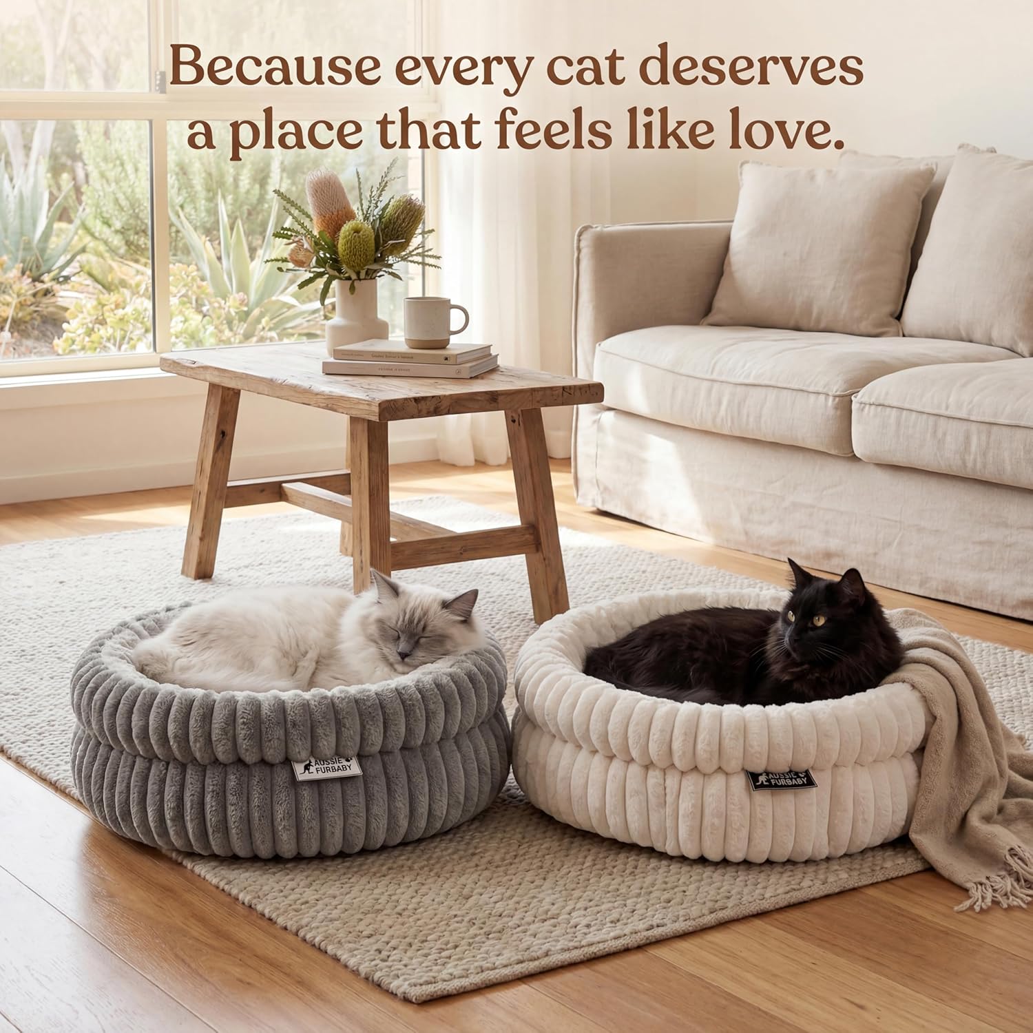 Two cats in plush pet beds with a cozy living room setting at Pet Servo