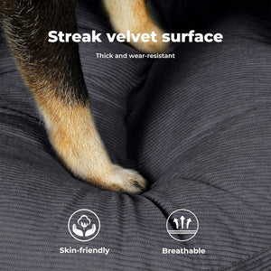 Dog paw on a gray velvet surface with text and icons indicating properties of the material at Pet Servo