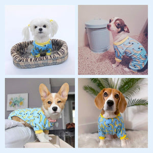 Four images of dogs wearing blue pajamas with yellow accents, in various settings at Pet Servo
