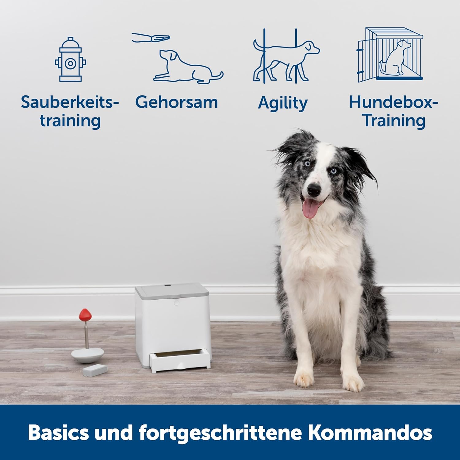 Dog sitting on a wooden floor with training equipment and icons labeled 'Sauberkeits-training', 'Gehorsam', 'Agility', and 'Hundebox-Training' against a light gray wall at Pet Servo