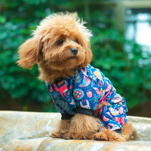 Small dog wearing a colorful outfit with a floral pattern, sitting on a stone surface with a green blurred background at Pet Servo