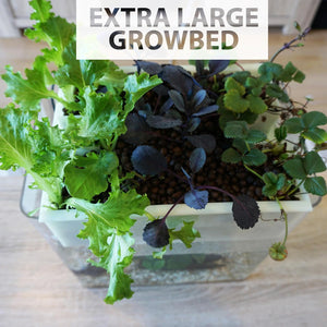 Square container with plants and text overlay 'Extra Large GrowBed' on a wooden surface at Pet Servo