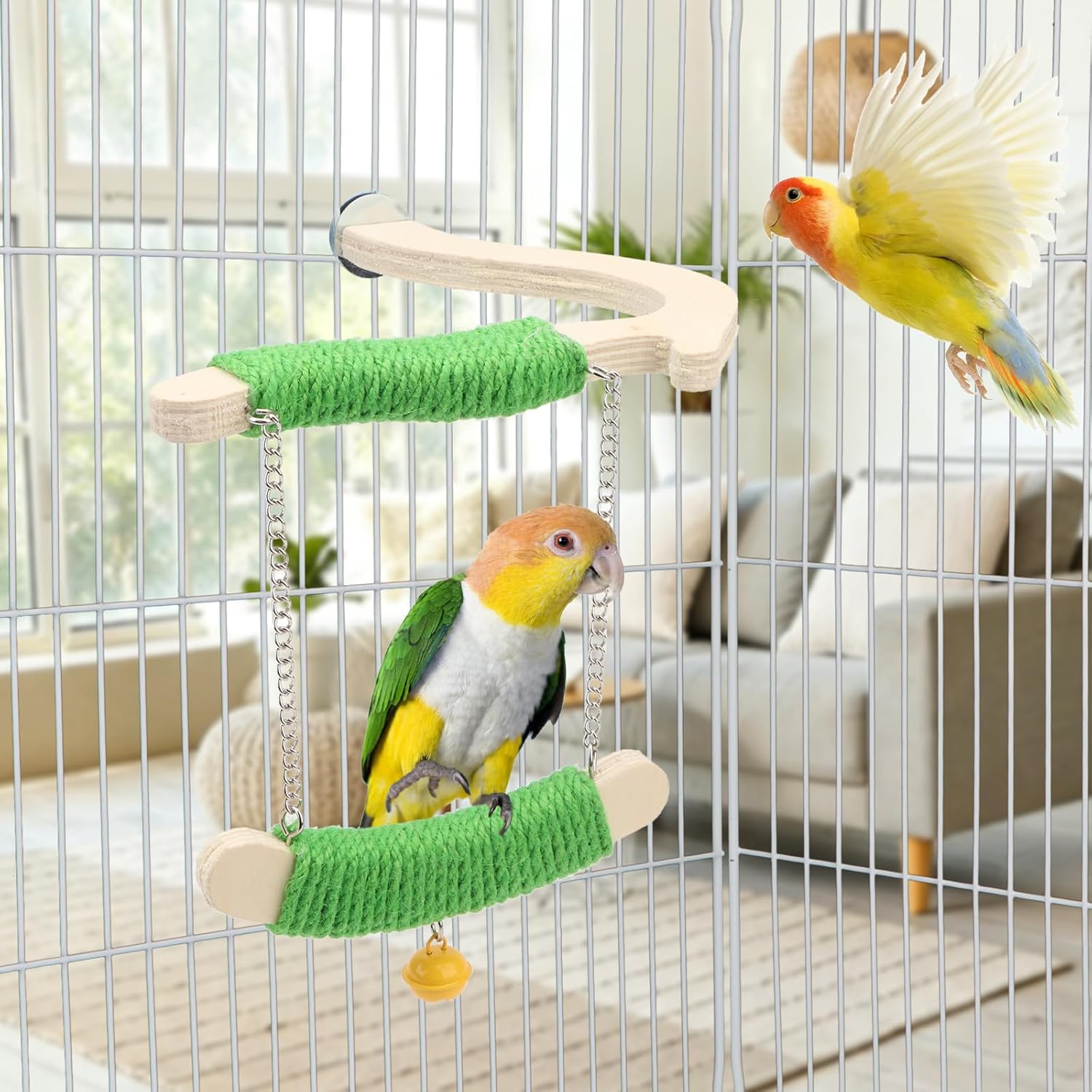 Two parrots on a birdcage with green perches and a colorful background at Pet Servo