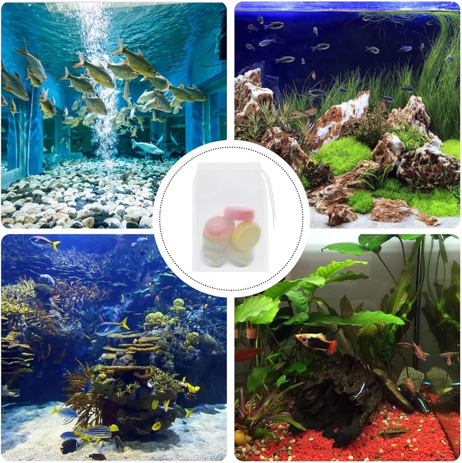 Collage of aquarium scenes with fish and plants, featuring a close-up of aquarium decorations at Pet Servo