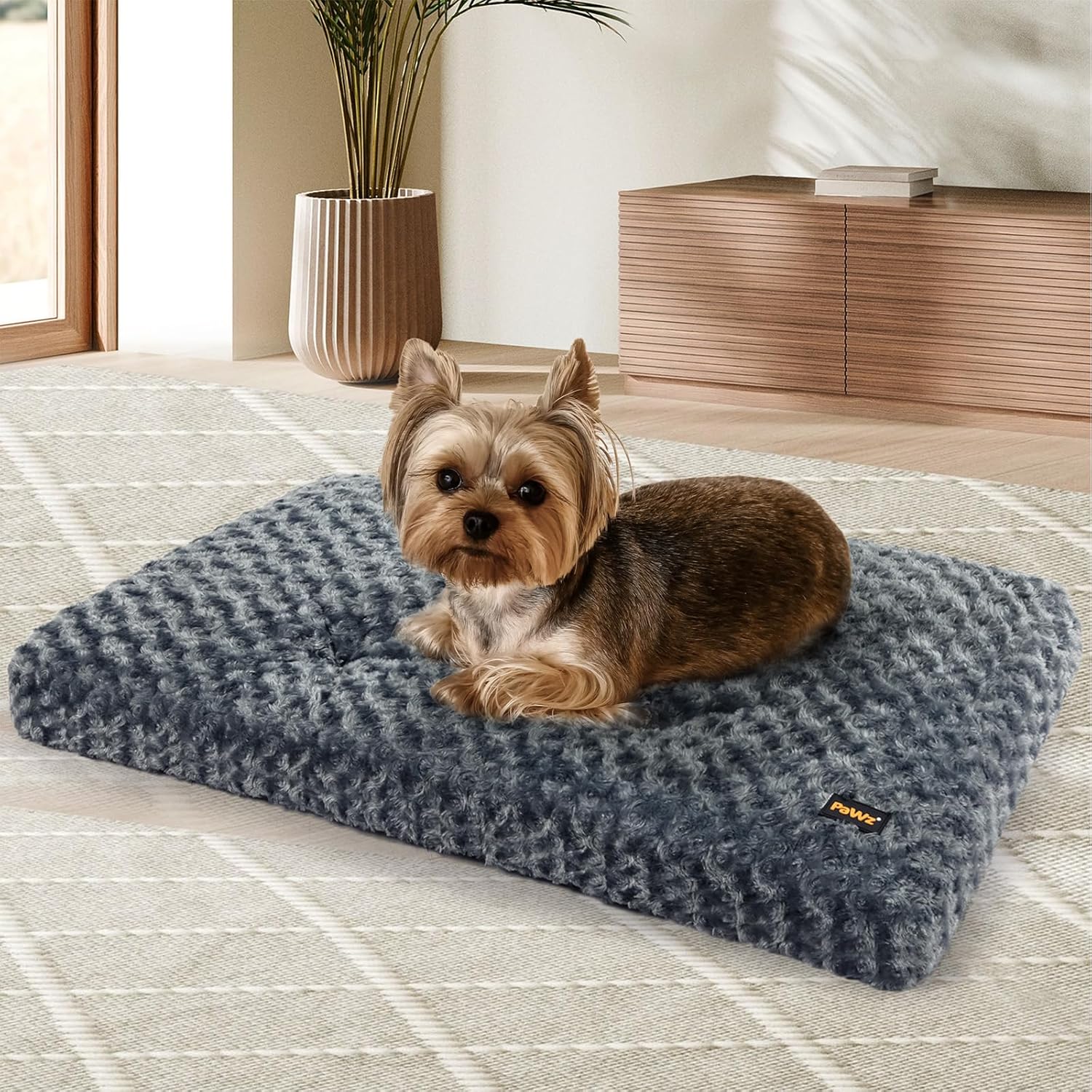 Pawz Soft Swirl Pattern Dog Bed Mat Plush Velvet with Machine Washable at Pet Servo