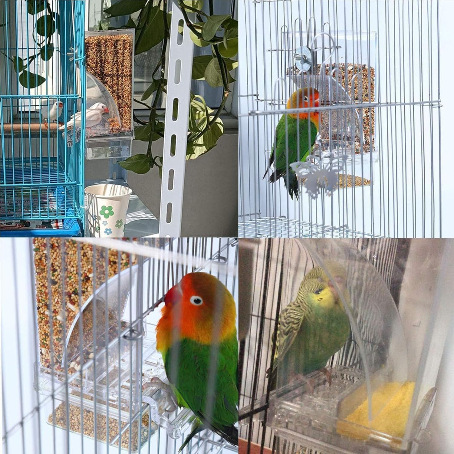 Collage of birds in cages with various backgrounds at Pet Servo