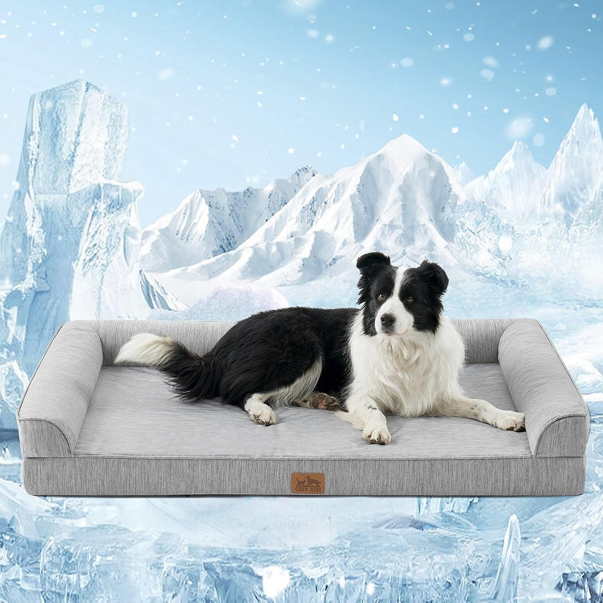 Dog lying on a gray pet bed with a snowy mountain background at Pet Servo