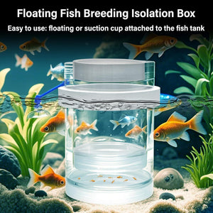 Floating fish breeding isolation box with goldfish in an aquarium setting at Pet Servo