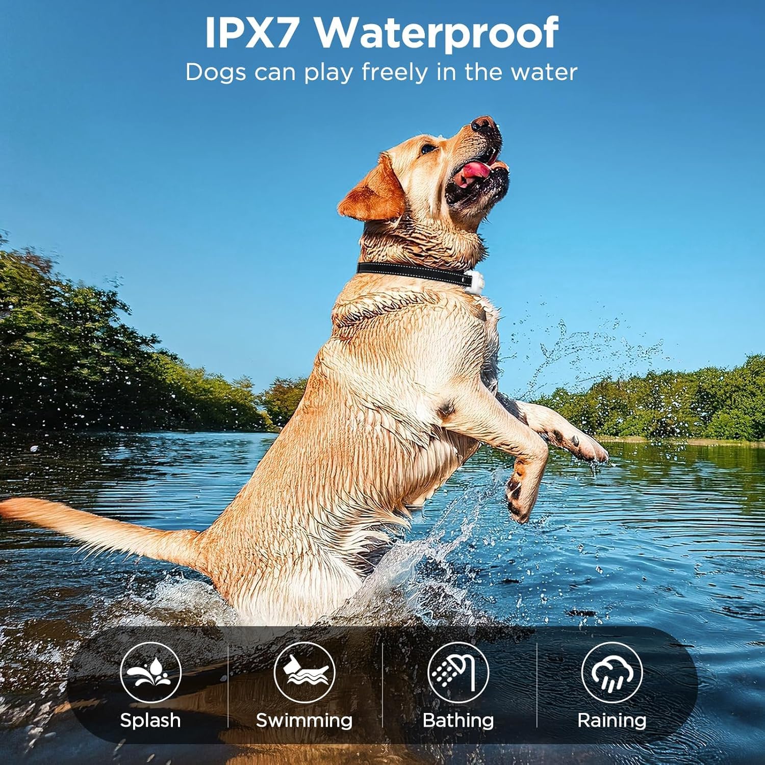 Dog playing in water with IPX7 waterproof text and icons at Pet Servo