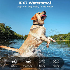 Dog playing in water with IPX7 waterproof text and icons at Pet Servo