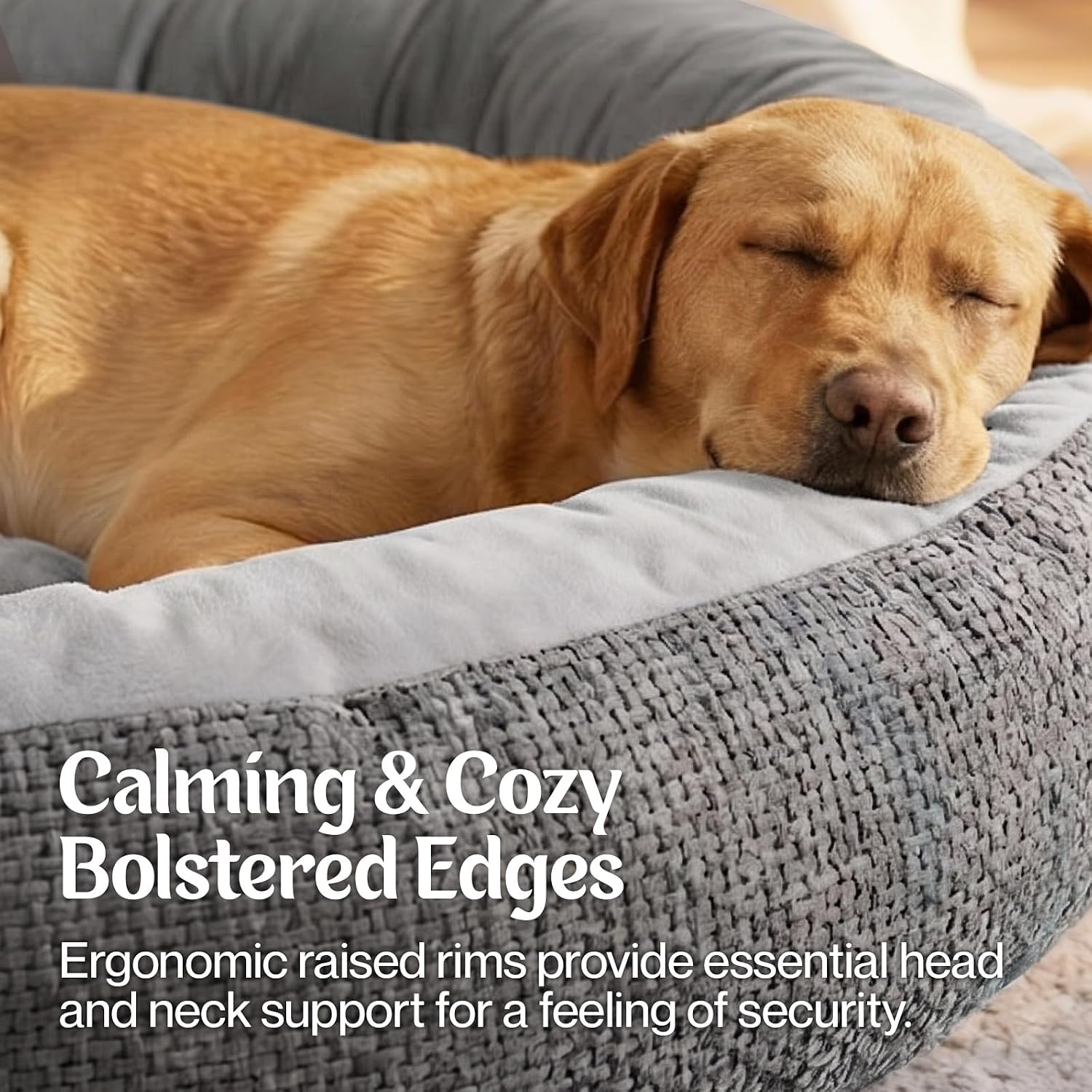 PaWz Orthopedic Dual-Layer Foam Dog Bed with Plush Cushion Top with Machine Washable Cover at Pet Servo
