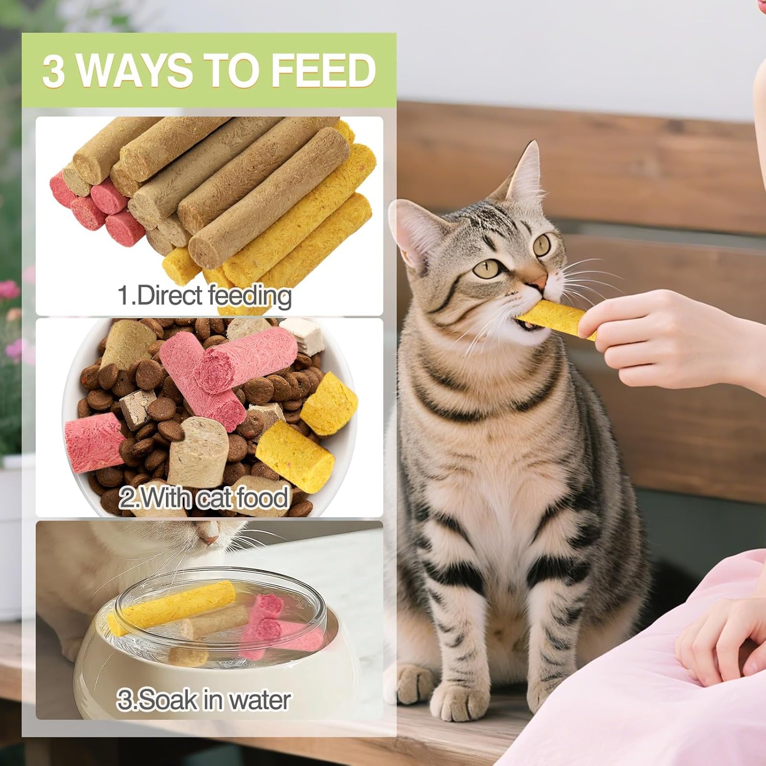 Cat being fed with text on 3 ways to feed at Pet Servo