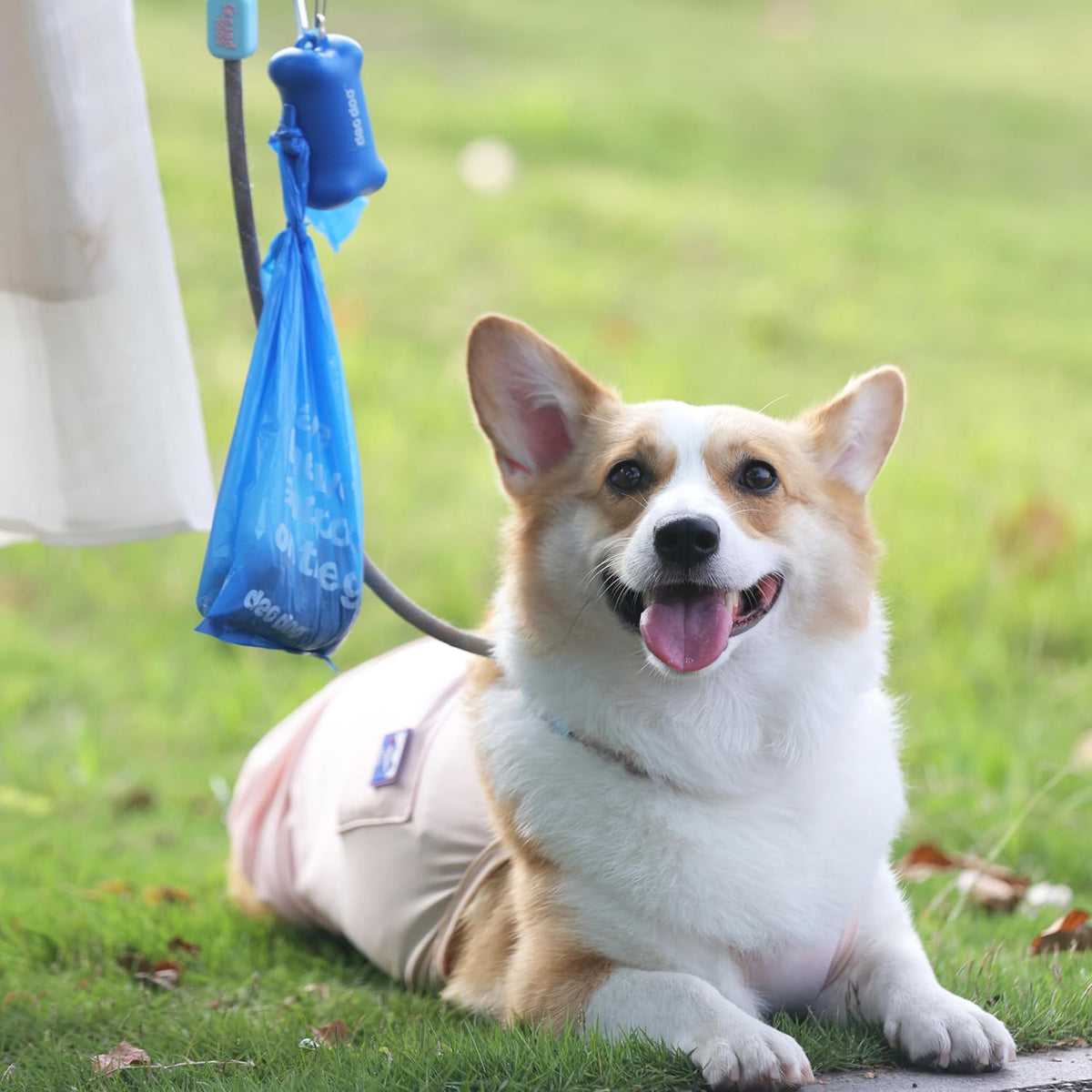 Dog sitting on grass with a blue plastic bag holder attached to a leash at Pet Servo