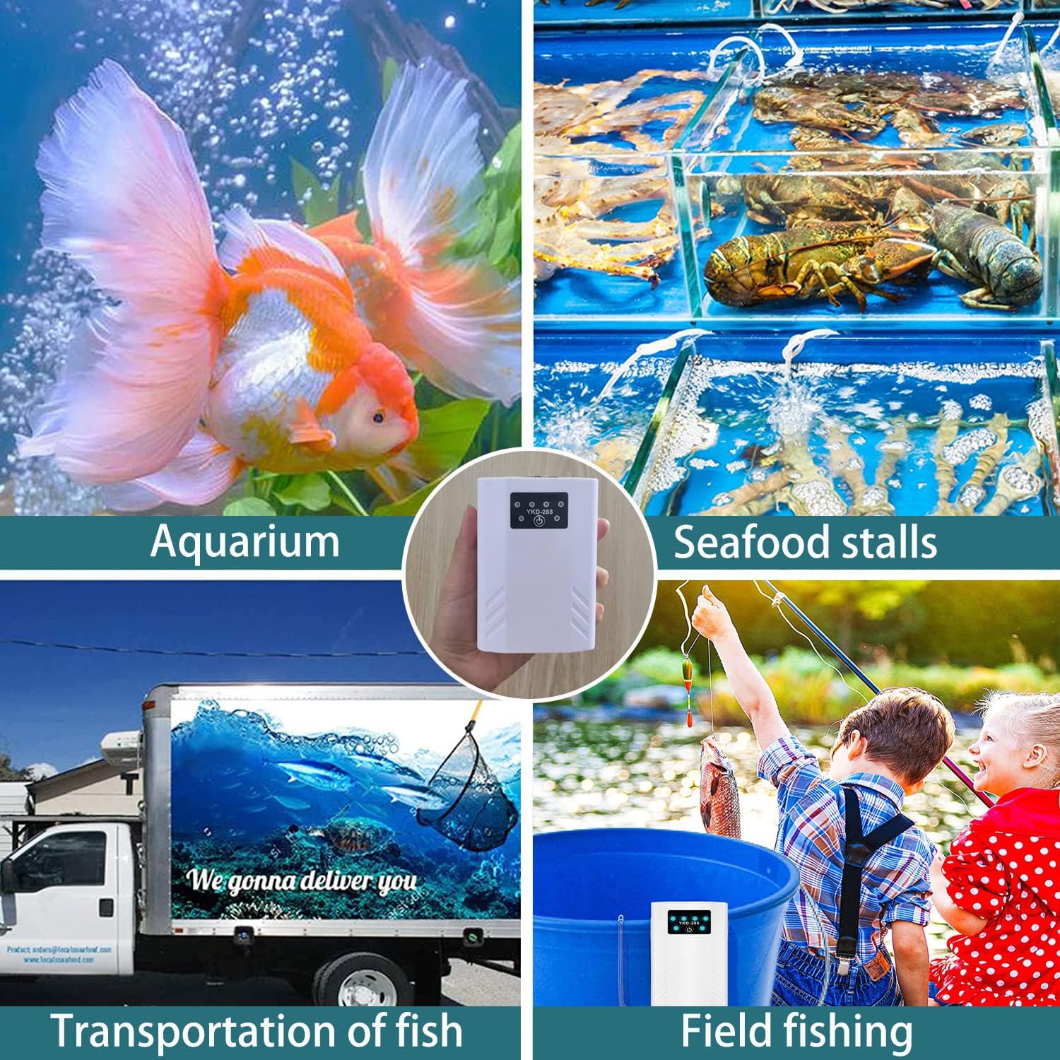 Collage of images showing aquarium, seafood stalls, transportation of fish, and field fishing at Pet Servo