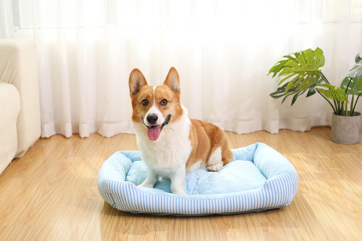 Pbed - Summer Cooling Bed with Non-Slip Bottom for Dogs & Cats, Pink at Pet Servo