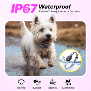 Dog running in water with a waterproof device, IP67 rating highlighted at Pet Servo