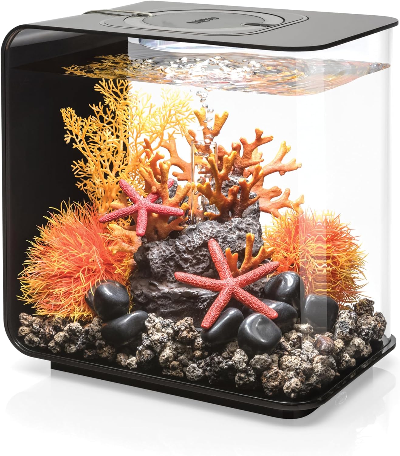 Small aquarium with coral and rocks on a white background at Pet Servo