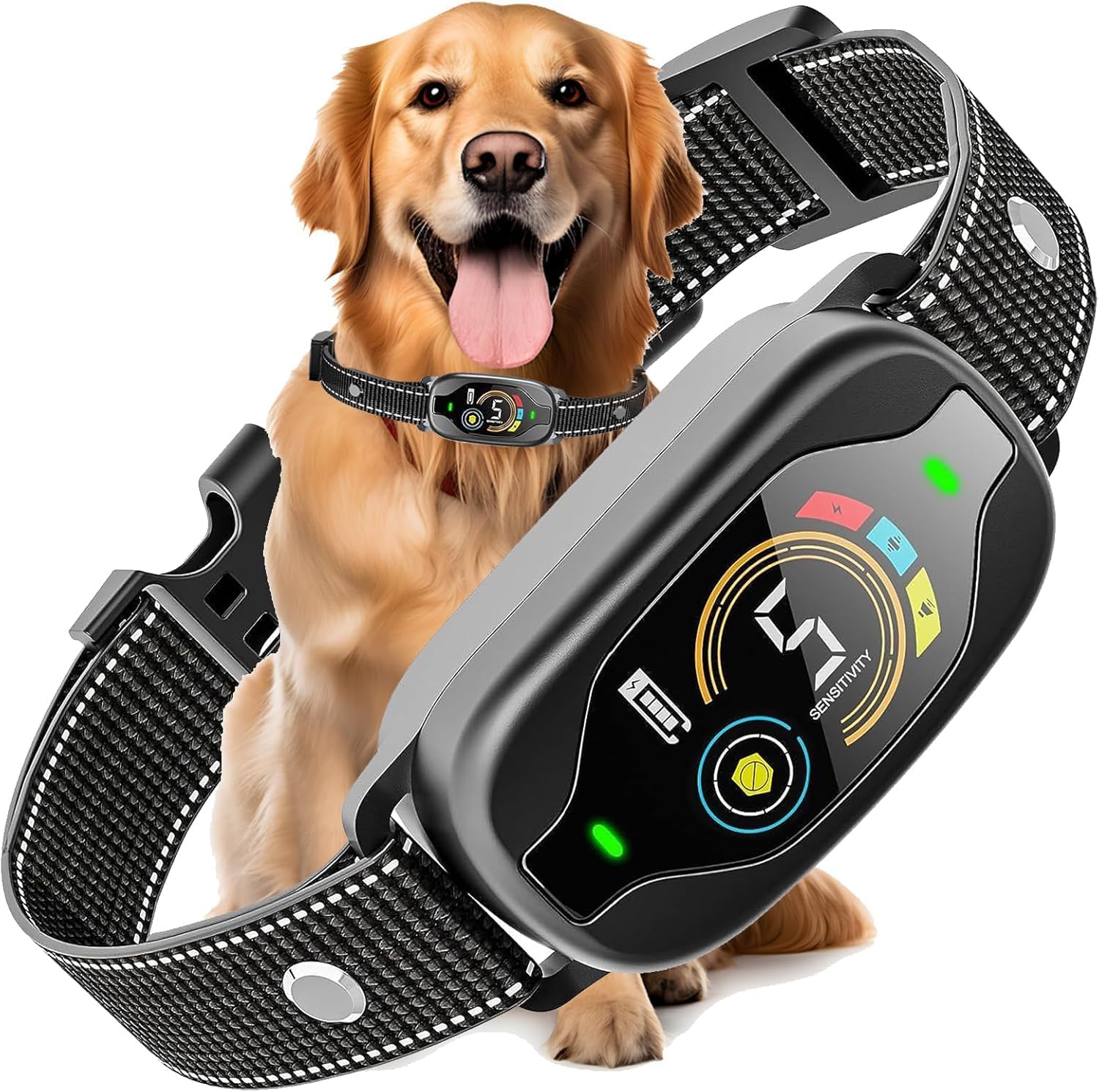 Dog wearing a electronic collar with a control device on a white background at Pet Servo