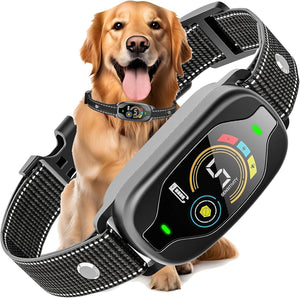 Dog wearing a electronic collar with a control device on a white background at Pet Servo