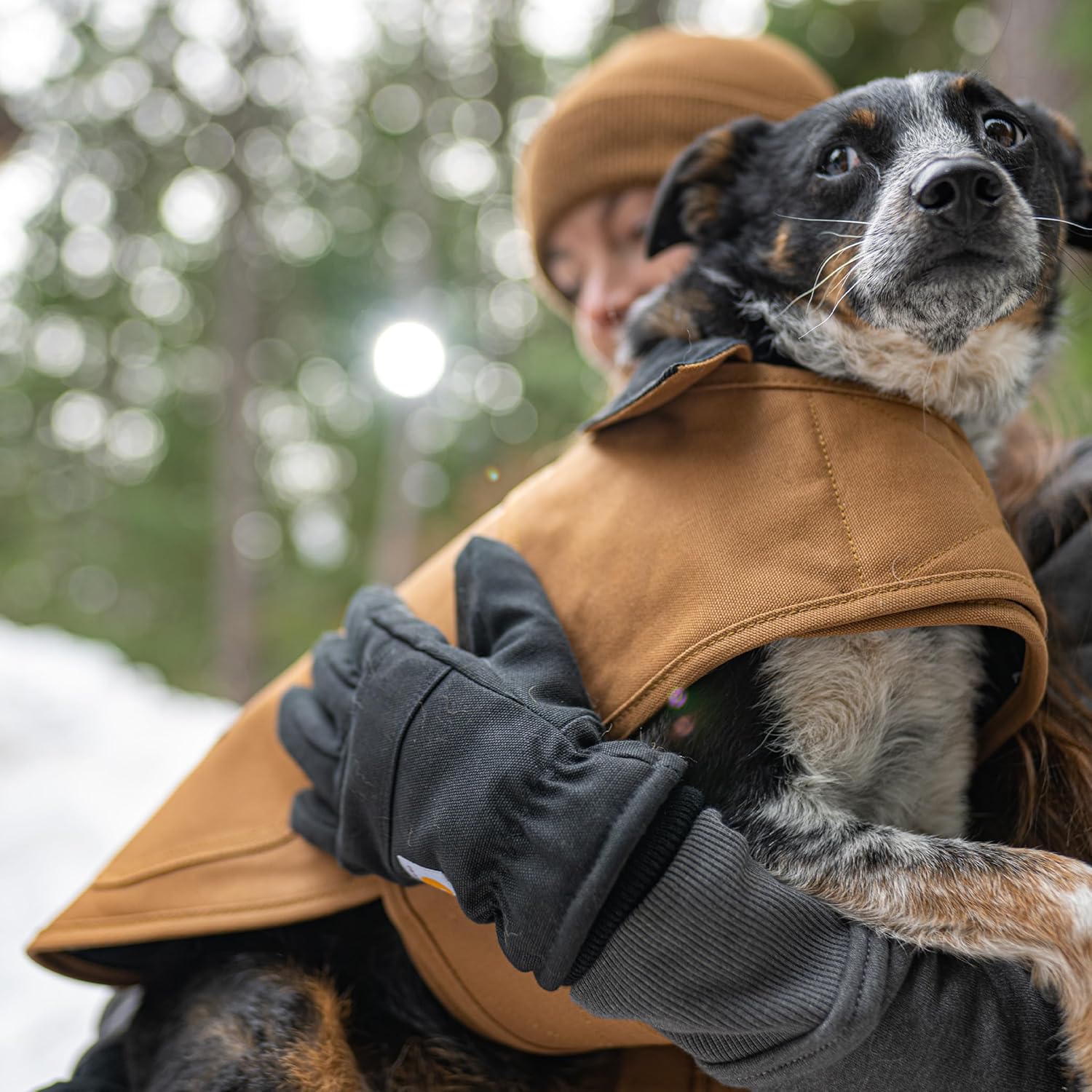 CARHARTT - Black Insulated Dog Coat for Cold Weather - Petservo