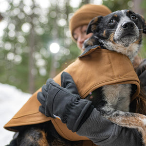 CARHARTT - Deep Wine Insulated Dog Coat for Winter - Petservo